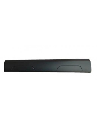 Front Left Door Molding for Audi Q3 2011 to 2012