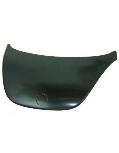Front hood to Volkswagen new beetle 1997 to 2005 Aftermarket Plates